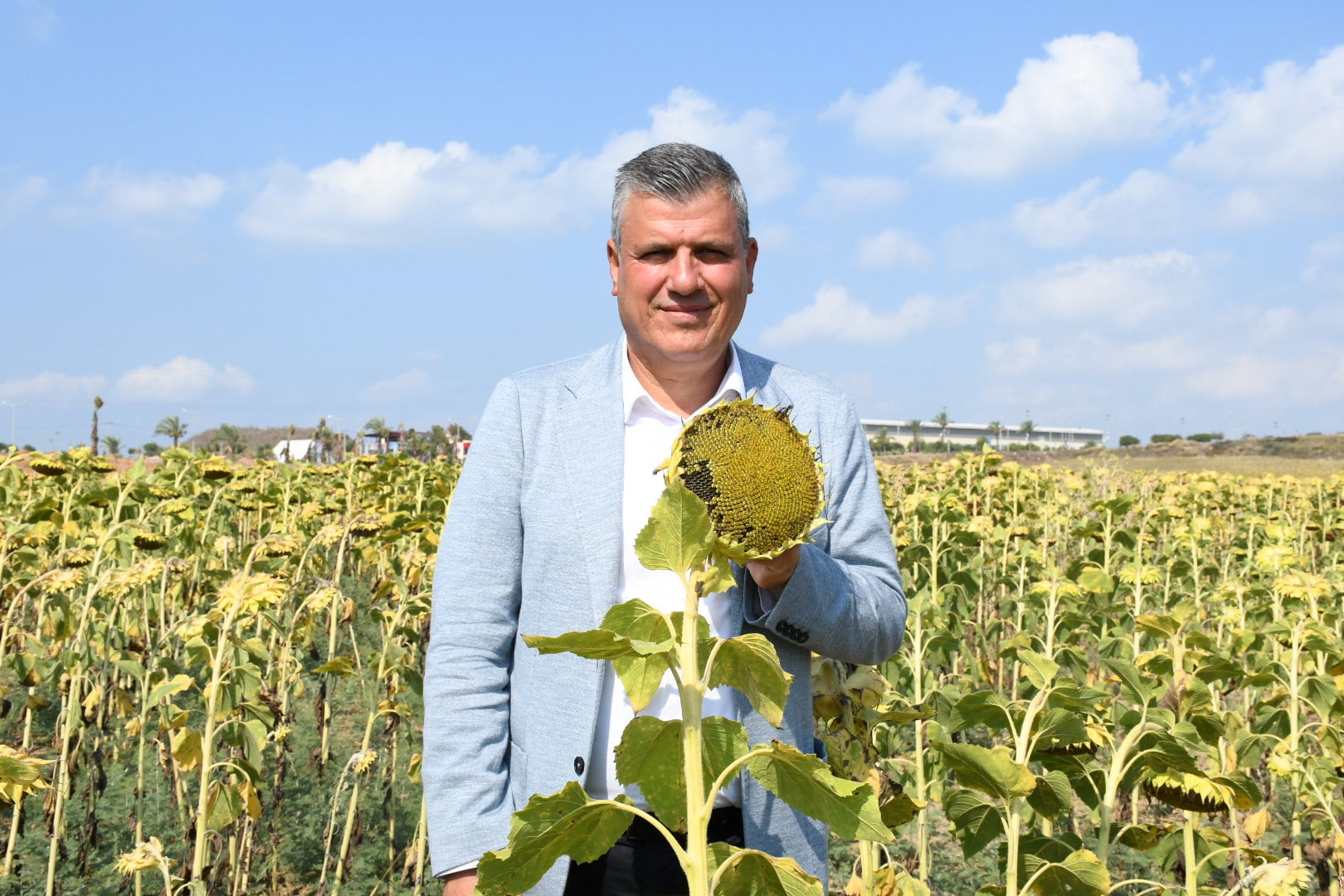 Ayhan Barut’tan ayçiçeği çağrısı