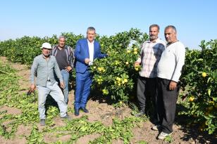 “Tüccar limon almıyor, çiftçiden üstüne para istiyor”