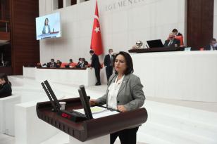 “Adana Gümrük Müdürlüğü’nü de havaalanını da kapattırmayacağız”