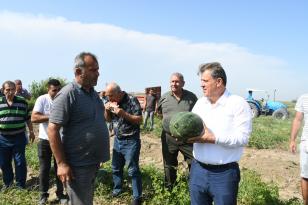 “Karpuzda tehlike çanları çalıyor”