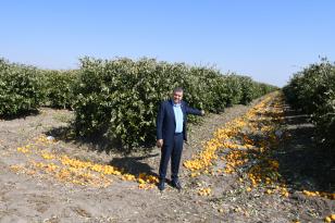 “Afrika sıcakları tarıma son darbeyi vurdu”