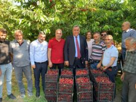 “Cumhurbaşkanı talimat versin; Tarım Kredi Kooperatif Marketleri kirazı alıp tüketiciye ulaştırsın”