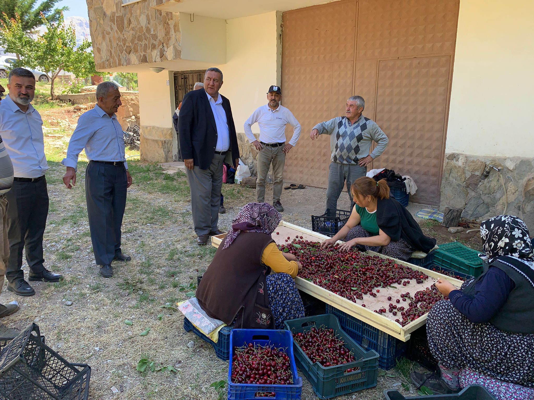 40 kilo kirazla ancak 1 işçi yevmiyesi karşılanıyor