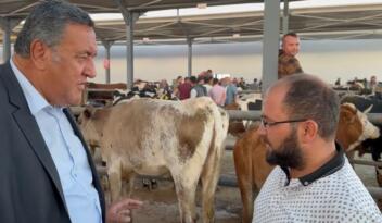 “Büyükbaş fiyatları düştü ama satış yok”