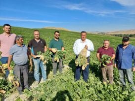 Patates ve Pancarın Ürün Tesliminde Sorun Var